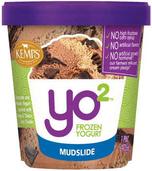 Yo2 Frozen Yogurt Mudslide (pint)